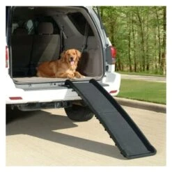 Loopplank Voor Honden