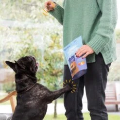 Edgard & Cooper Hondensnack Jerky Magnifiek Rund - 150 G -Berühmt Tierbedarf Geschäft 1601646499 5 600