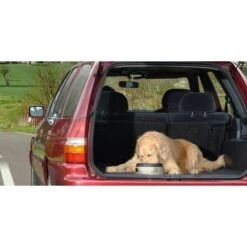 Road Refresher Anti-smos Drinkbak Grijs - S 7 Road Refresher Anti-smos Drinkbak Grijs - S -Berühmt Tierbedarf Geschäft 1637845180 3 600