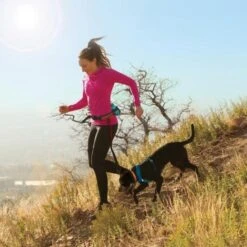 Kurgo Loopriem Hond K9 Excursion Running Belt 10 Kurgo Loopriem Hond K9 Excursion Running Belt -Berühmt Tierbedarf Geschäft 1638194793 3 600