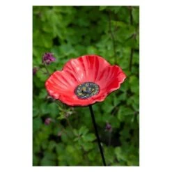 Voederschaal Klaproos Met Prikker 10 Voederschaal Klaproos Met Prikker -Berühmt Tierbedarf Geschäft 1642067810 1 600