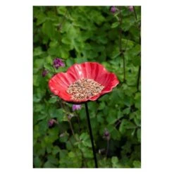 Voederschaal Klaproos Met Prikker 11 Voederschaal Klaproos Met Prikker -Berühmt Tierbedarf Geschäft 1642067810 2 600