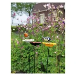 Voederschaal Klaproos Met Prikker 12 Voederschaal Klaproos Met Prikker -Berühmt Tierbedarf Geschäft 1642067810 3 600