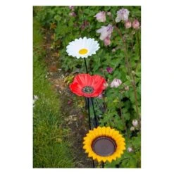 Voederschaal Klaproos Met Prikker 13 Voederschaal Klaproos Met Prikker -Berühmt Tierbedarf Geschäft 1642067810 4 600