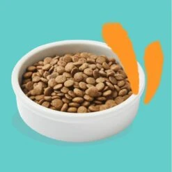 Edgard & Cooper Kattenvoer Adult Met Verse Scharrelkip - 2 Kg -Berühmt Tierbedarf Geschäft 1676986592 3 600