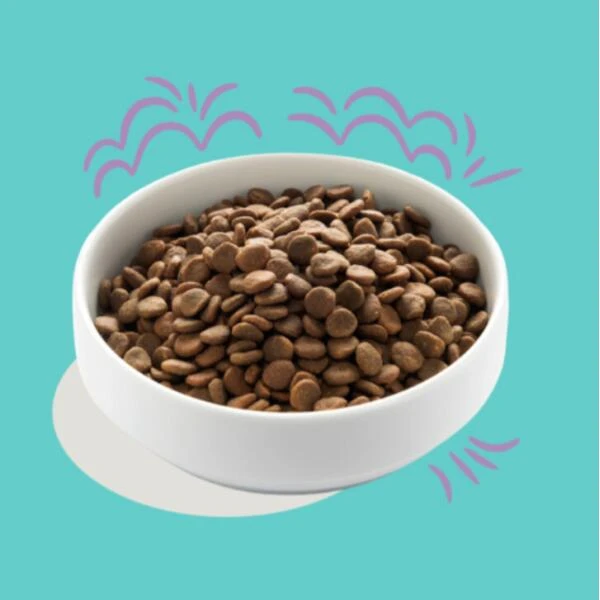 Edgard & Cooper Hondenvoer Puppy Met Verse Atlantische Zalm En Scharrelkalkoen - 7 Kg 5 Edgard & Cooper Hondenvoer Puppy Met Verse Atlantische Zalm En Scharrelkalkoen - 7 Kg - Afbeelding 3