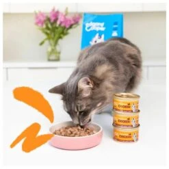 Edgard & Cooper Multipack Stukjes In Saus Voor Volwassen Katten - 8 × 85 G -Berühmt Tierbedarf Geschäft 1677141741 2 600