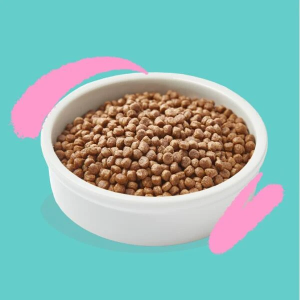 Edgard & Cooper Kattenvoer Kitten Met Verse Scharrelkip En Eend - 2 Kg 6 Edgard & Cooper Kattenvoer Kitten Met Verse Scharrelkip En Eend - 2 Kg - Afbeelding 4