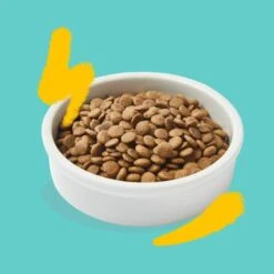 Edgard & Cooper Kattenvoer Adult Met Verse Scharrelkalkoen En Kip - 2 Kg -Berühmt Tierbedarf Geschäft 1677151805 3 600