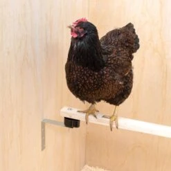 Berühmt Tierbedarf Geschäft -Berühmt Tierbedarf Geschäft 1680698727 1 600