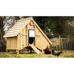 Berühmt Tierbedarf Geschäft 21 Chickenguard Pro Automatische Deurwachter + Kippenhokdeur