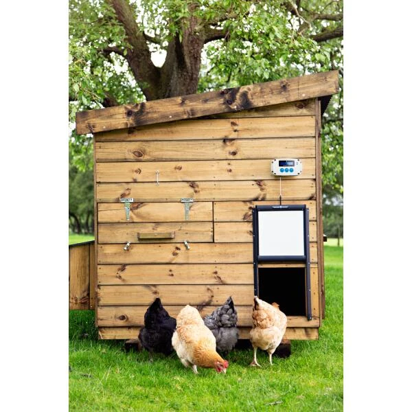 Chickenguard Pro Automatische Deurwachter + Kippenhokdeur 4 Chickenguard Pro Automatische Deurwachter + Kippenhokdeur - Afbeelding 2
