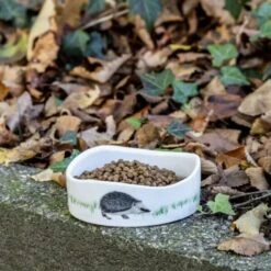 Berühmt Tierbedarf Geschäft -Berühmt Tierbedarf Geschäft 1699258441 3 600