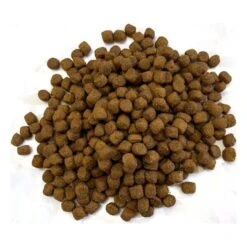 Berühmt Tierbedarf Geschäft -Berühmt Tierbedarf Geschäft 1703057218 1 600