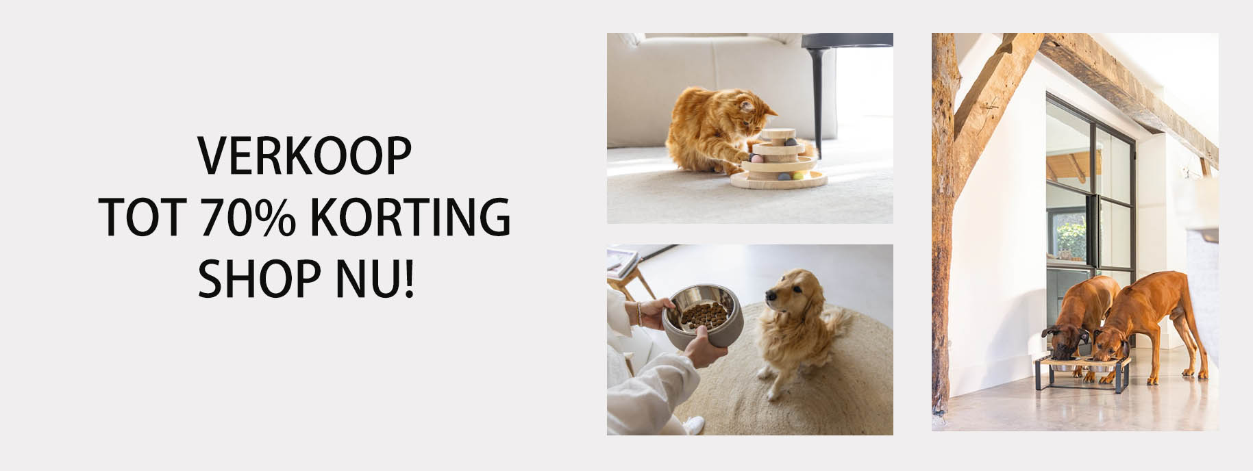 Berühmt Tierbedarf Geschäft -Berühmt Tierbedarf Geschäft DFSDF