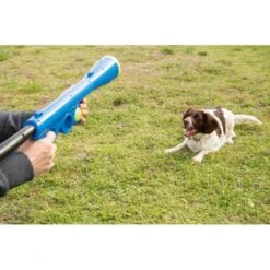 Ballenschieter - Blauw 9 Ballenschieter - Blauw -Berühmt Tierbedarf Geschäft beeztees fetch ballenschieter hondenspeelgoed blauw 60x20x8cm 1601016254 38 600