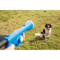 Ballenschieter - Blauw 10 Ballenschieter - Blauw -Berühmt Tierbedarf Geschäft beeztees fetch ballenschieter hondenspeelgoed blauw 60x20x8cm 1601016254 39 600