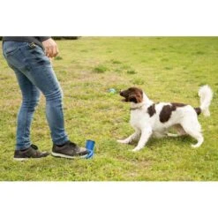 Tennisballenschieter - Blauw -Berühmt Tierbedarf Geschäft beeztees fetch voet ballenschieter hondenspeelgoed blauw 27 cm 1601016254 43 600