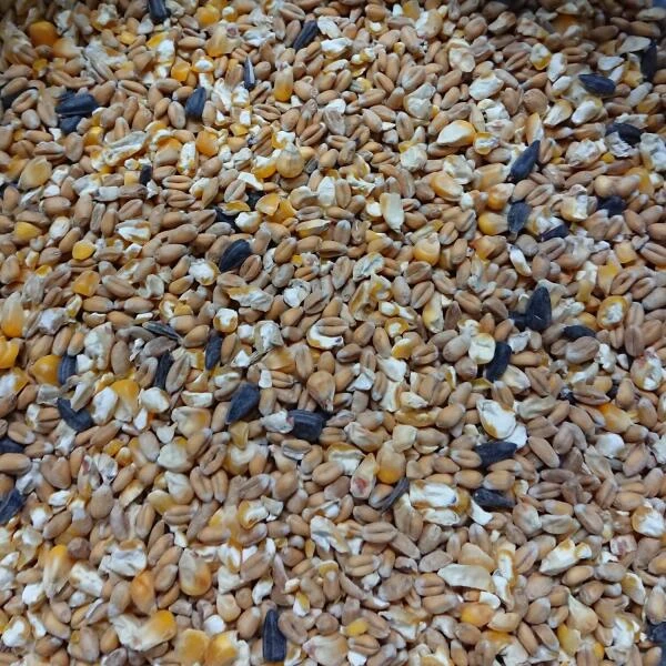 Bio Scharrelgraan 12,5 Kg 4 Bio Scharrelgraan 12,5 Kg - Afbeelding 2