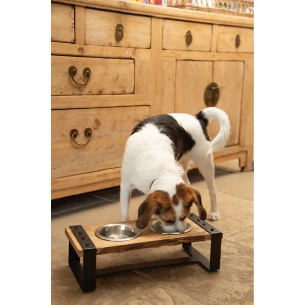 Dinerset Karinto Hond - Designed By Lotte 4 Dinerset Karinto Hond - Designed By Lotte - Afbeelding 2