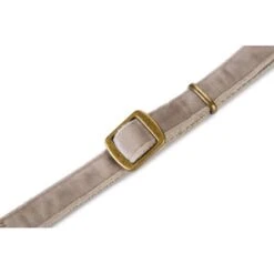 Halsband Hond 'Velura' Fluweel Grijs 35-50 Cm - Designed By Lotte -Berühmt Tierbedarf Geschäft designed by lotte velura hondenhalsband fluweel grijs 35 50cmx20mm 1601016254 137 600