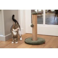 Krabpaal Yenna 35 × 35 × 60 Cm Groen - Designed By Lotte -Berühmt Tierbedarf Geschäft designed by lotte yenna krabpaal groen 35x35x60 cm 1601016254 26 600