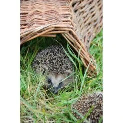 Berühmt Tierbedarf Geschäft -Berühmt Tierbedarf Geschäft egelhuis egelnest wilgentenen 1484067396 2 600