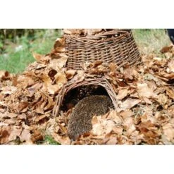 ESSCHERT DESIGN Egelhuis - Egelnest Wilgentenen 9 ESSCHERT DESIGN Egelhuis - Egelnest Wilgentenen -Berühmt Tierbedarf Geschäft egelhuis egelnest wilgentenen 1484067396 4 600