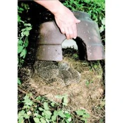 Egelkoepel Met Isolatiebodem - Schwegler 7 Egelkoepel Met Isolatiebodem - Schwegler -Berühmt Tierbedarf Geschäft egelkoepel met isolatiebodem schwegler 1557228013 3 600