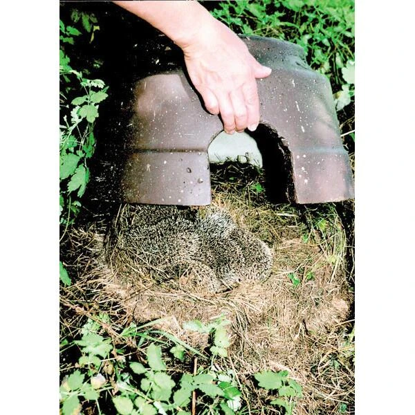 Egelkoepel Met Isolatiebodem - Schwegler 5 Egelkoepel Met Isolatiebodem - Schwegler - Afbeelding 3