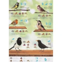 Emma's Garden Vogelvoeder Start Pack 13 Emma's Garden Vogelvoeder Start Pack -Berühmt Tierbedarf Geschäft emmas garden start pack 1636369560 4 600