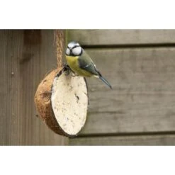 Emma's Garden Vogelvoeder Start Pack 10 Emma's Garden Vogelvoeder Start Pack -Berühmt Tierbedarf Geschäft emmas garden start pack vogelvoer 1638884419 1 600