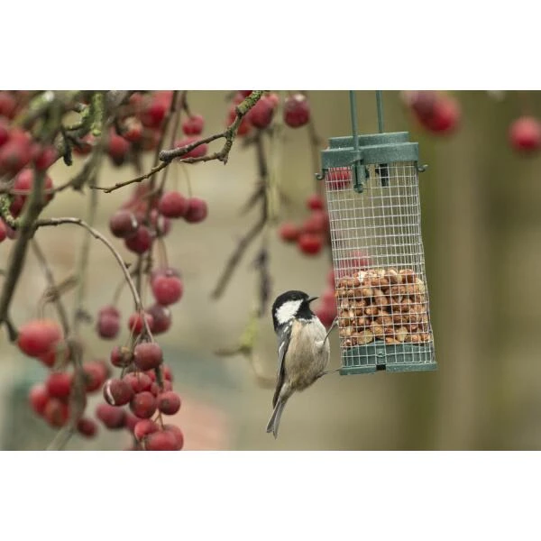 Emma's Garden Vogelvoeder Start Pack 7 Emma's Garden Vogelvoeder Start Pack - Afbeelding 5