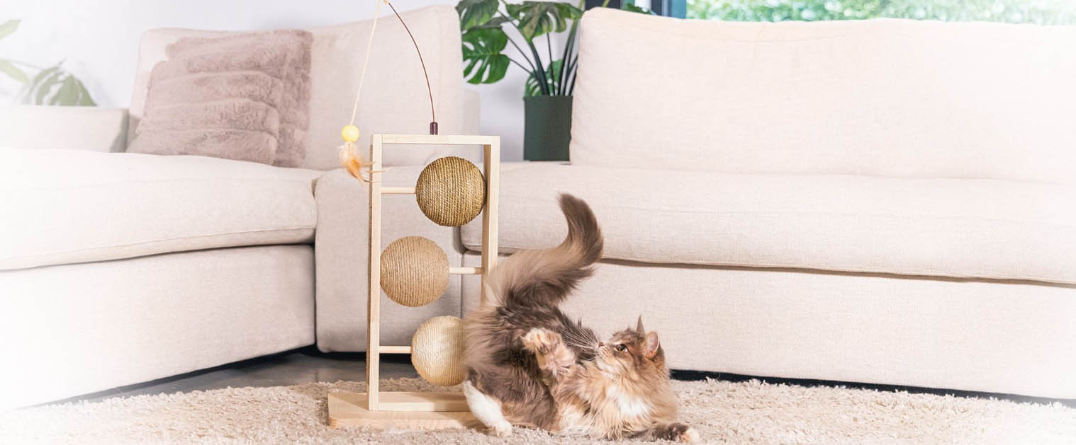 Berühmt Tierbedarf Geschäft -Berühmt Tierbedarf Geschäft fgfg