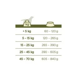 VERSELE-LAGA Hondenvoer Happy Life ADULT Kip - 15 Kg -Berühmt Tierbedarf Geschäft happy life adult chicken 15kg 1626356073 2 600