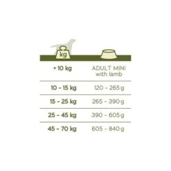 VERSELE-LAGA Hondenvoer Happy Life ADULT Lam - 15 Kg 7 VERSELE-LAGA Hondenvoer Happy Life ADULT Lam - 15 Kg -Berühmt Tierbedarf Geschäft happy life adult lamb 15kg 1626351685 2 600