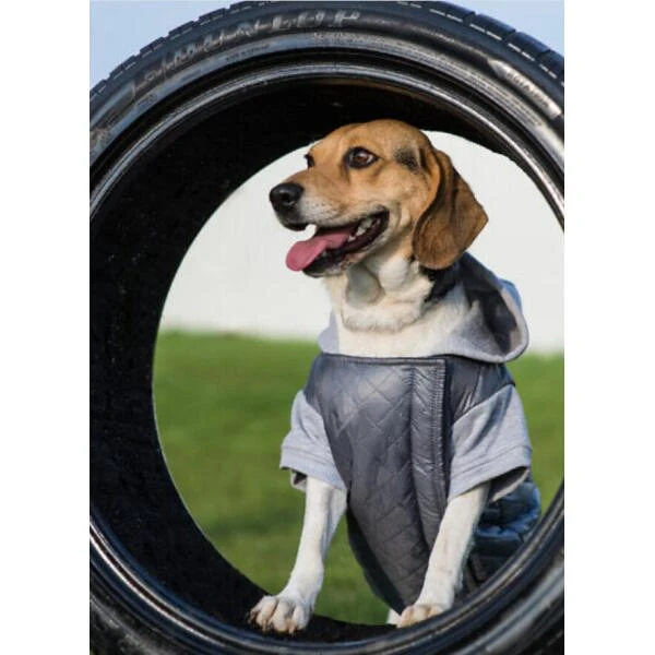 Hondenjas Met Kap Boston Amiplay - Grijs 4 Hondenjas Met Kap Boston Amiplay - Grijs - Afbeelding 2