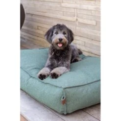 Hondenkussen Fantail 'Stargaze' 80 × 55 Cm - Botanical Green -Berühmt Tierbedarf Geschäft hondenkussen fantail stargaze botanical green 1623231864 2 600