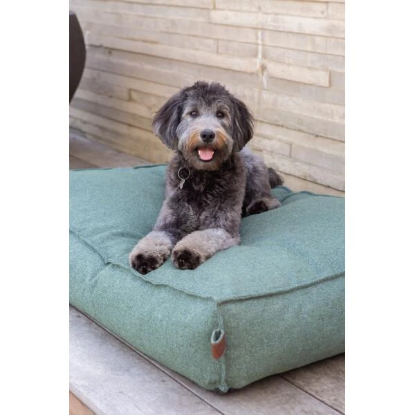 Hondenkussen Fantail 'Stargaze' 100 × 70 Cm - Botanical Green 4 Hondenkussen Fantail 'Stargaze' 100 × 70 Cm - Botanical Green - Afbeelding 2