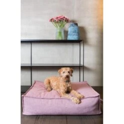 Hondenkussen Fantail 'Stargaze' 100 × 70 Cm - Iconic Pink -Berühmt Tierbedarf Geschäft hondenkussen fantail stargaze iconic pink 1623234015 2 600