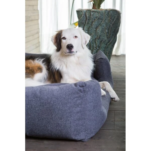 Hondenmand Fantail 'Snooze' 60 × 50 Cm - Epic Grey 4 Hondenmand Fantail 'Snooze' 60 × 50 Cm - Epic Grey - Afbeelding 2