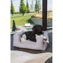 Hondenmand Fantail 'Snooze' 80 × 60 Cm - Silver Spoon 7 Hondenmand Fantail 'Snooze' 80 × 60 Cm - Silver Spoon -Berühmt Tierbedarf Geschäft hondenmand fantail 80 x 60 cm silver spoon 1623244628 3 600