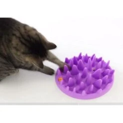 Interactieve Voederbak Kat -Berühmt Tierbedarf Geschäft interactieve voederbak kat 1570092009 1 600