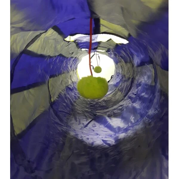 Opvouwbare Kattenspeeltunnel 136 Cm 4 Opvouwbare Kattenspeeltunnel 136 Cm - Afbeelding 2