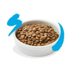 Edgard & Cooper Kattenvoer Adult Met Verse Zalm - 2 Kg 9 Edgard & Cooper Kattenvoer Adult Met Verse Zalm - 2 Kg -Berühmt Tierbedarf Geschäft kattenvoer adult verse kip 2 kg 1676993083 3 600