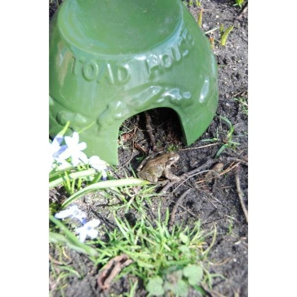 ESSCHERT DESIGN Paddenhuis - Kikkerpot In Keramiek 5 ESSCHERT DESIGN Paddenhuis - Kikkerpot In Keramiek - Afbeelding 3