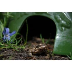 ESSCHERT DESIGN Paddenhuis - Kikkerpot In Keramiek 11 ESSCHERT DESIGN Paddenhuis - Kikkerpot In Keramiek -Berühmt Tierbedarf Geschäft kikkerpot groen 1484052767 4 600