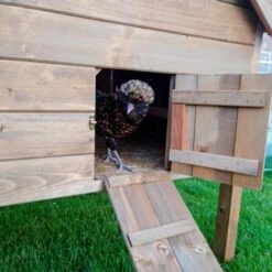 Berühmt Tierbedarf Geschäft -Berühmt Tierbedarf Geschäft kippenhok chalet large 1690790569 1 600