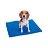Koelmat Voor Honden - 30 × 40 Cm 1 Koelmat Voor Honden - 30 × 40 Cm -Berühmt Tierbedarf Geschäft koelmat voor honden 30 x 40 cm 1508421496 1 600