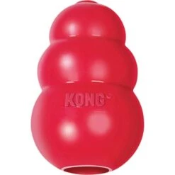 Kong Classic Rood Ø 5,5 Cm - M 6 Kong Classic Rood Ø 5,5 Cm - M -Berühmt Tierbedarf Geschäft kong classic rood 55 cm m 1570536255 2 600